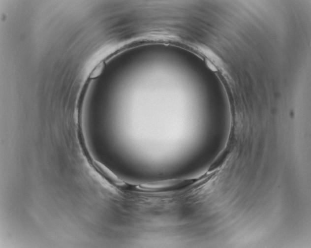 X0000089411335200706151242