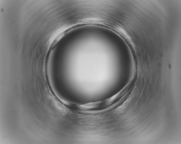 X0000089411336200706151242