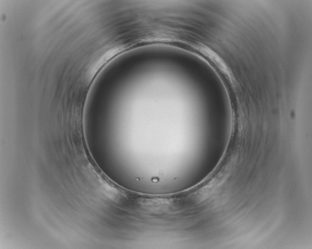 X0000089411337200706151242