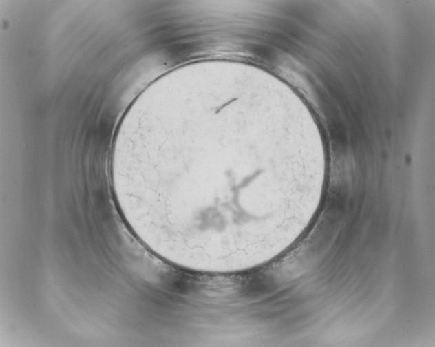 X0000089411338200706151242