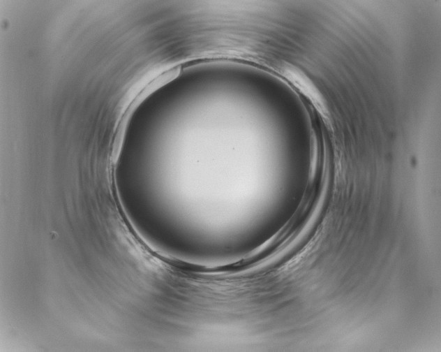 X0000089411340200706151242