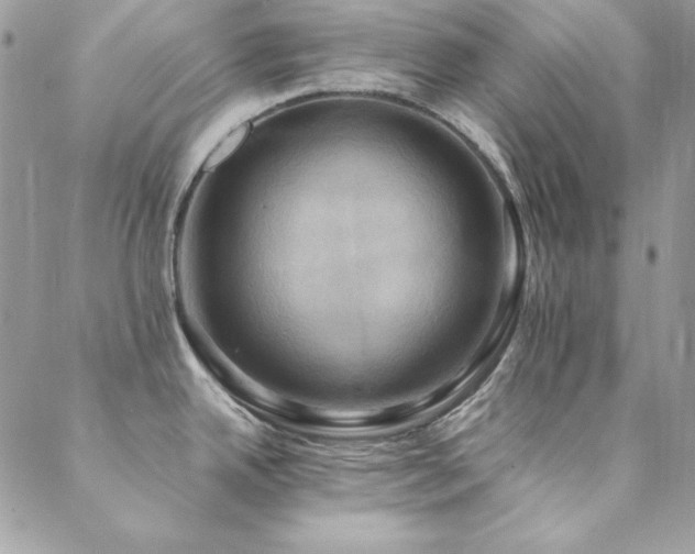 X0000089411342200706151242