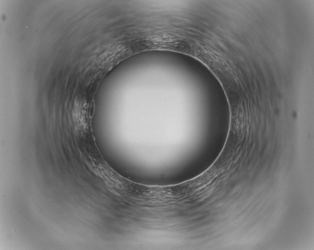 X0000089411346200706151241