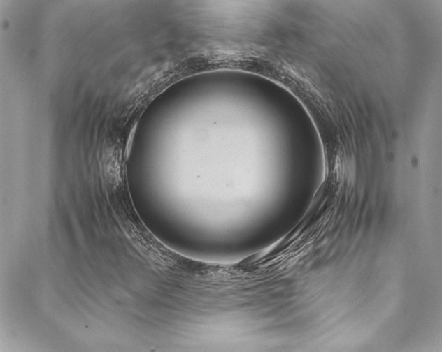 X0000089411348200706151241