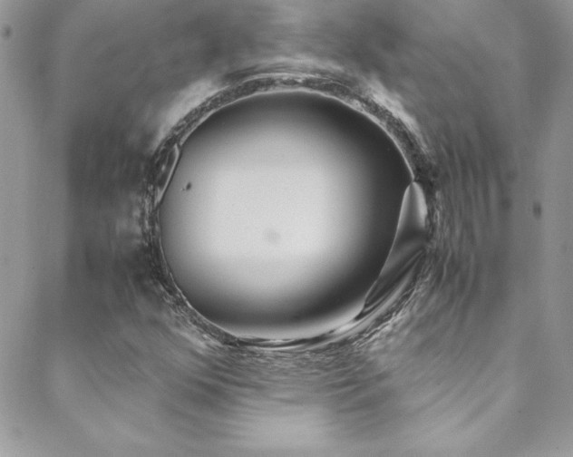 X0000089411352200706151241
