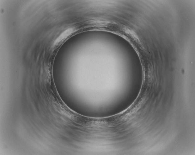 X0000089411354200706151241