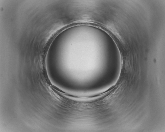 X0000089411356200706151241