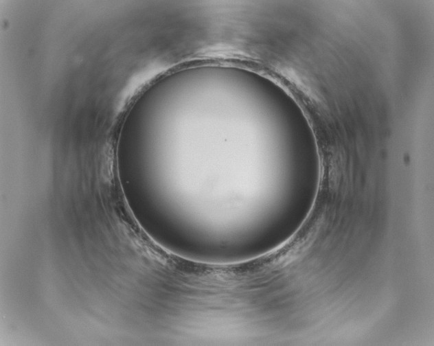 X0000089411358200706151241