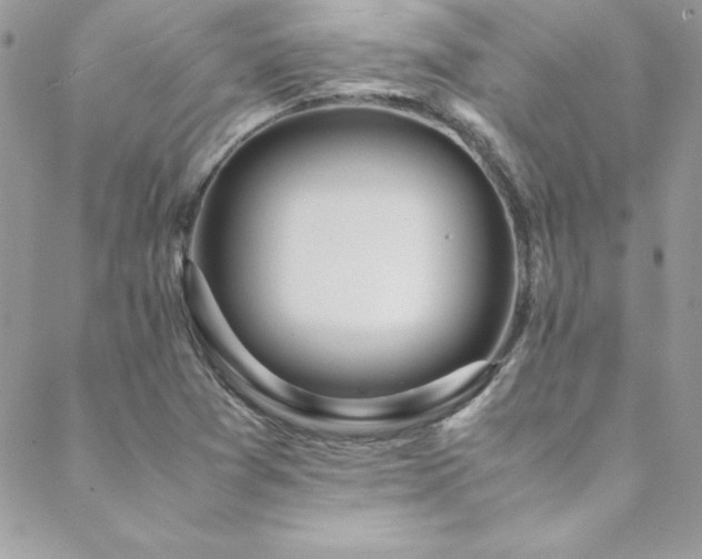 X0000089411361200706151241