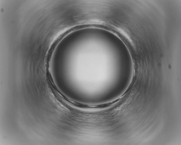 X0000089411364200706151241
