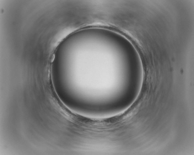 X0000089411367200706151241