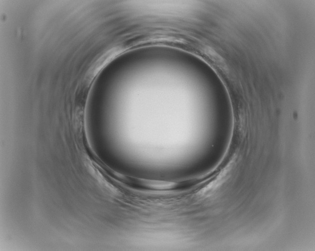 X0000089411369200706151241
