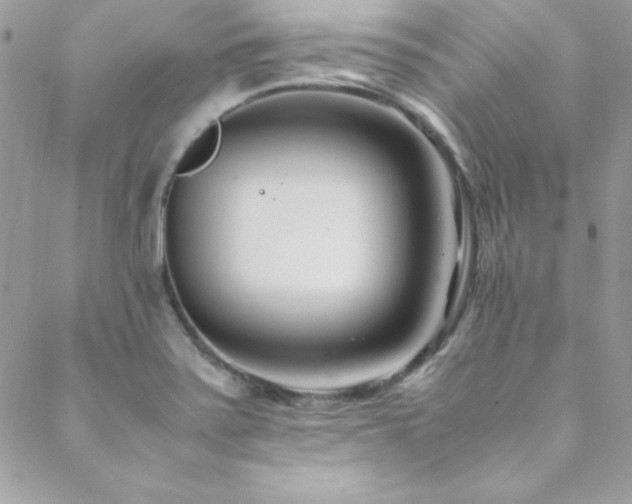 X0000089411371200706151241