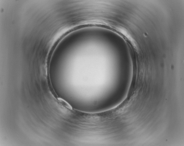X0000089411372200706151241