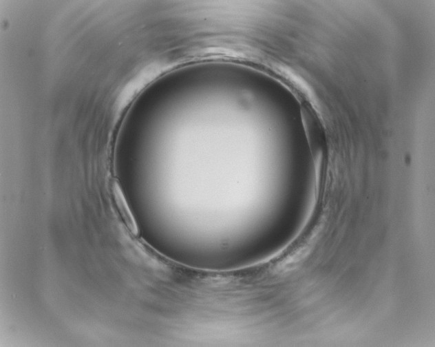 X0000089411373200706151241
