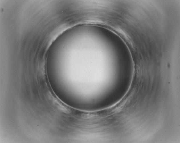 X0000089411374200706151241