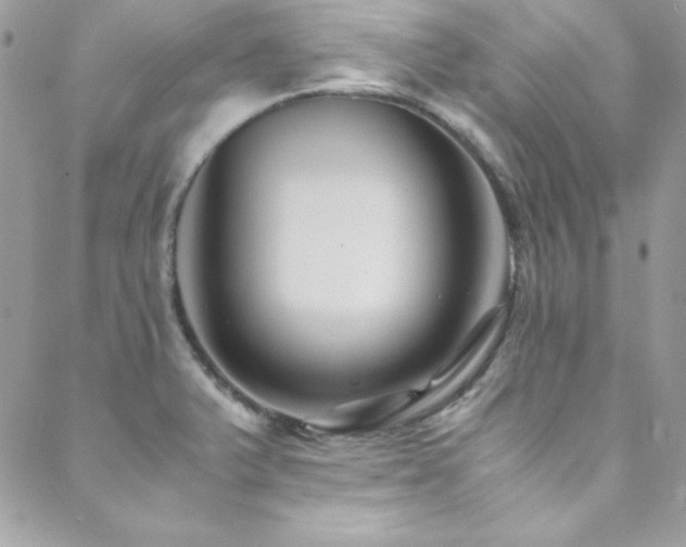 X0000089411375200706151241
