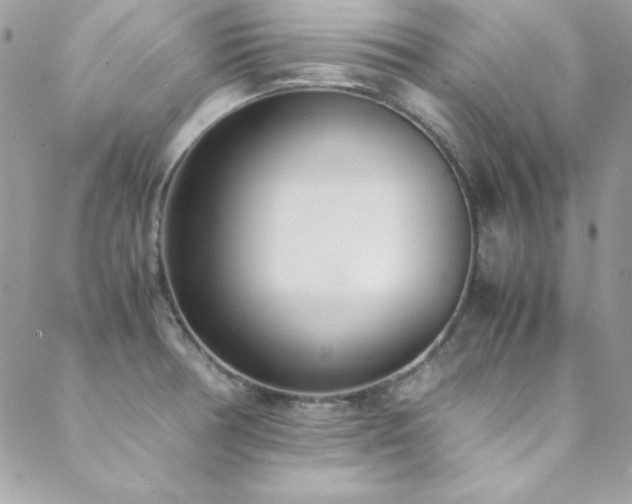X0000089411378200706151241