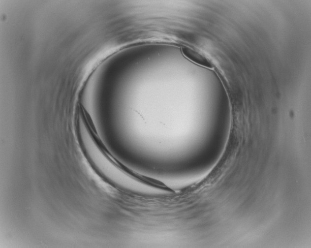 X0000089411379200706151241