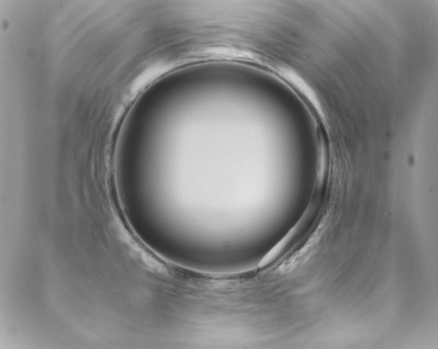 X0000089411381200706151241