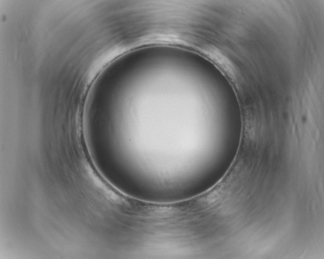 X0000089411382200706151241