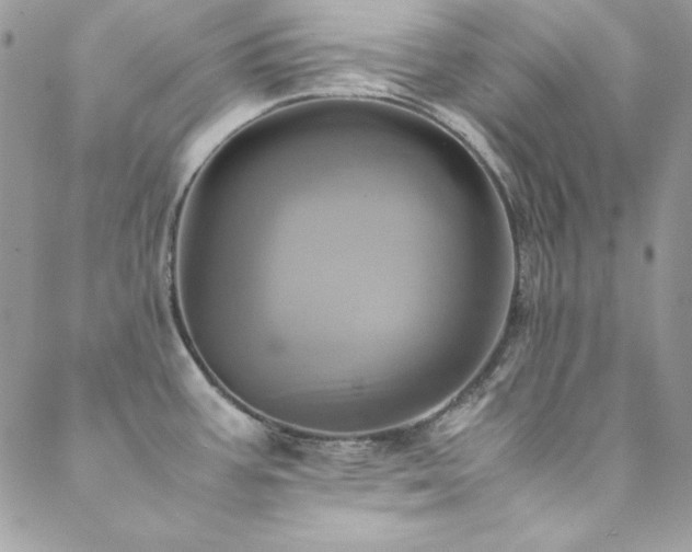 X0000089411387200706151241
