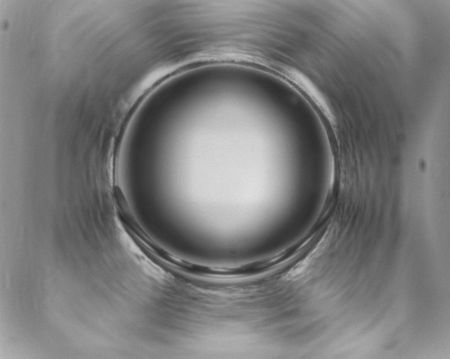 X0000089411388200706151241