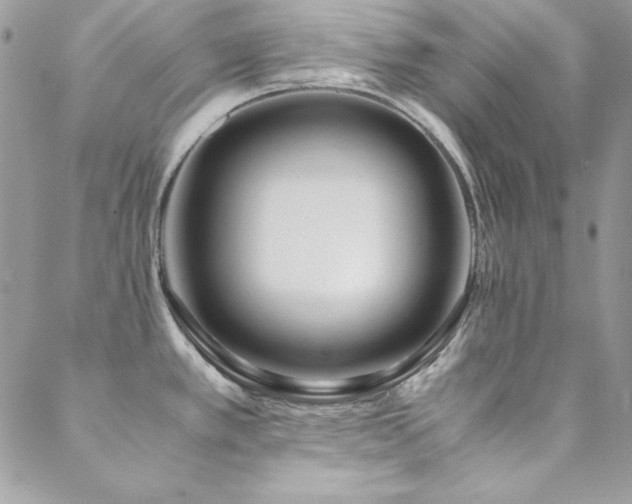 X0000089411389200706151241