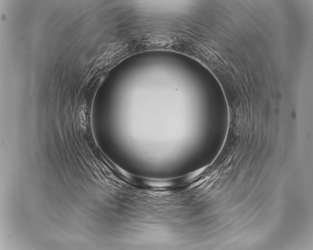 X0000089411394200706151240