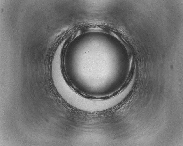 X0000089411398200706151240