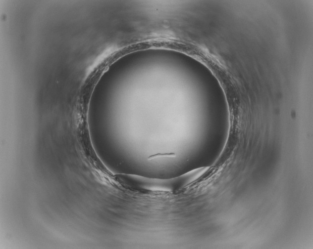 X0000089411400200706151240