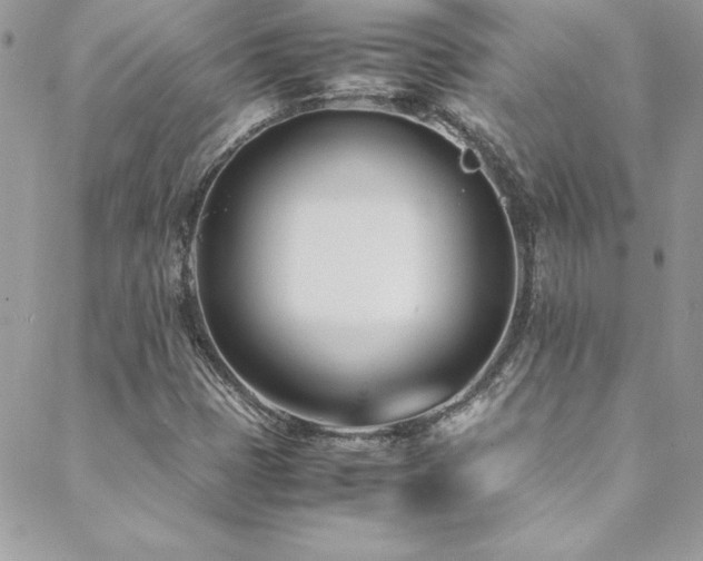 X0000089411401200706151240