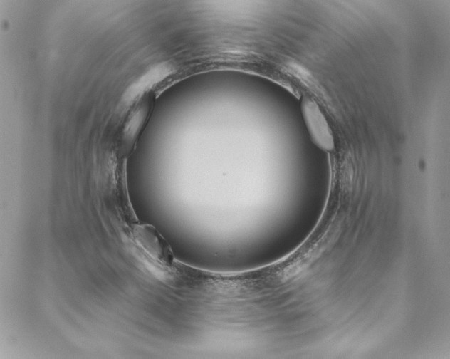 X0000089411402200706151240