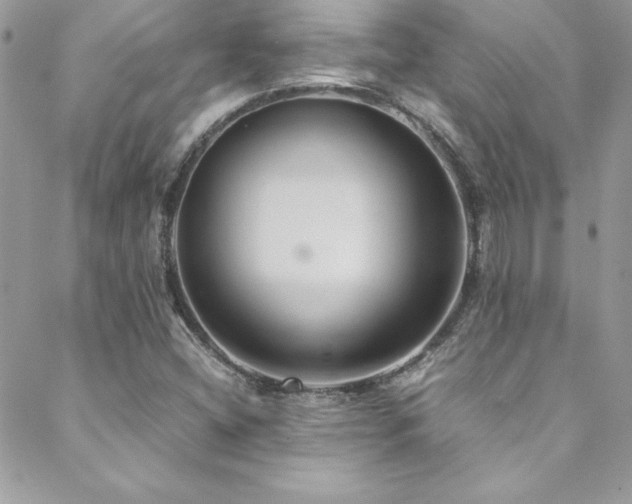 X0000089411404200706151240