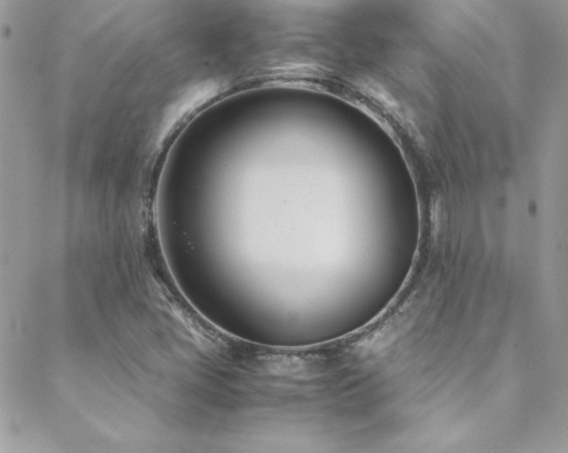 X0000089411405200706151240