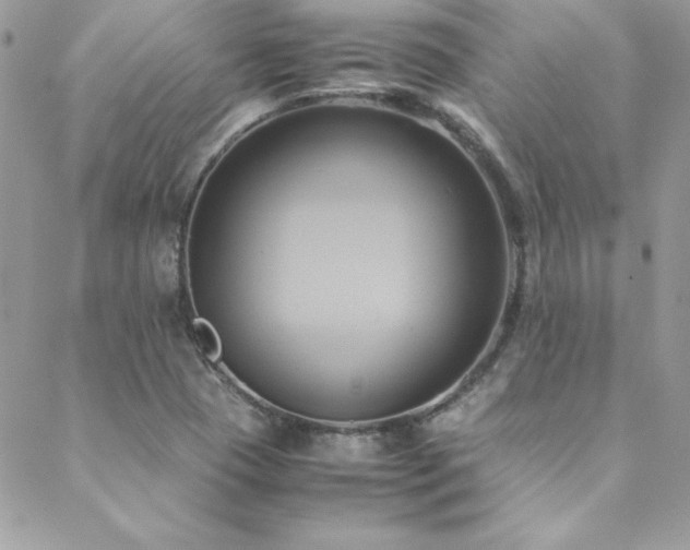 X0000089411409200706151240