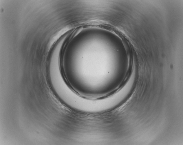 X0000089411410200706151240