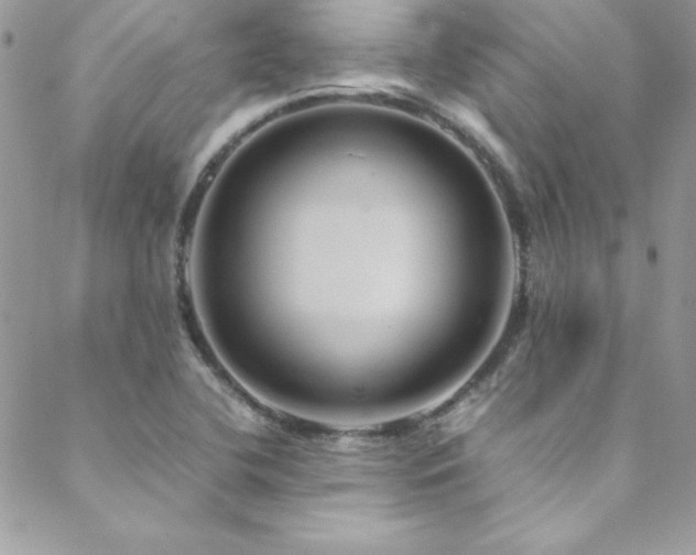 X0000089411412200706151240