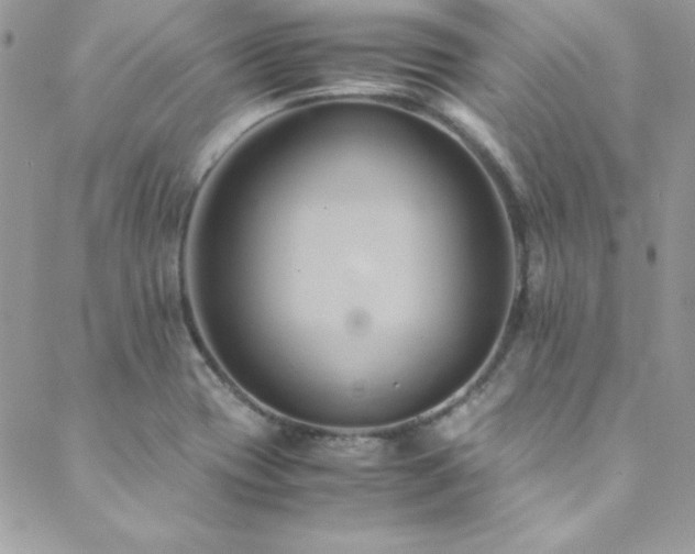 X0000089411417200706151240