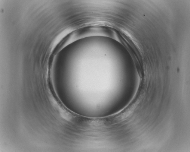 X0000089411418200706151240