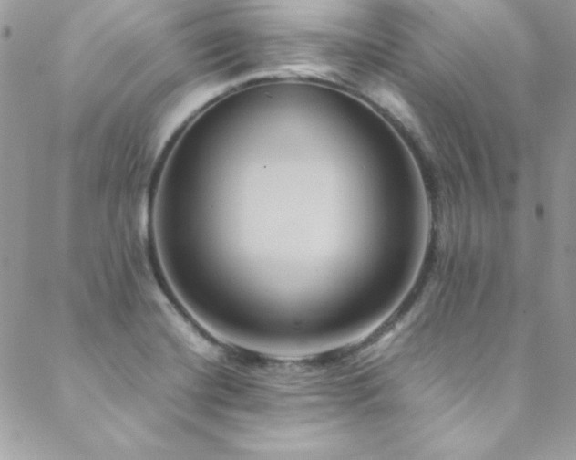 X0000089411420200706151240