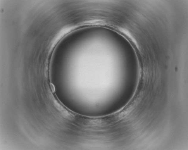 X0000089411421200706151240