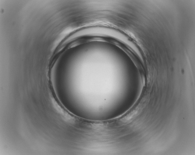 X0000089411422200706151240