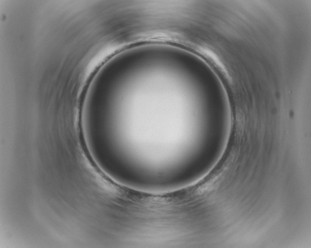 X0000089411424200706151240