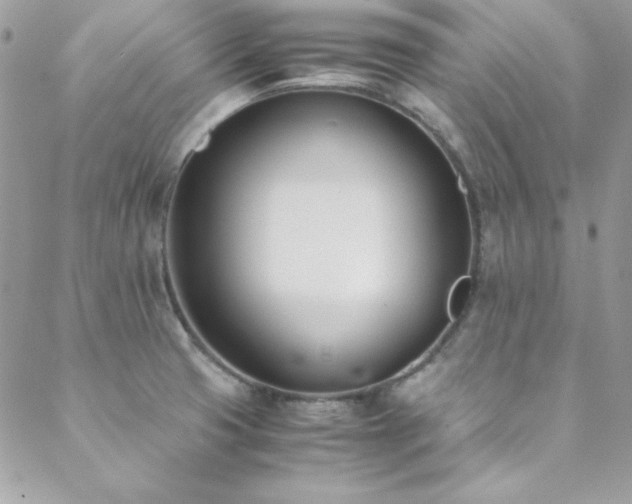 X0000089411425200706151240