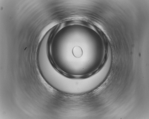 X0000089411426200706151240