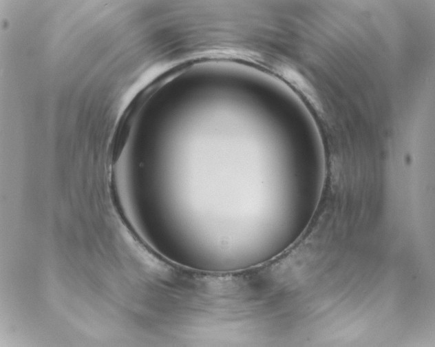 X0000089411428200706151240