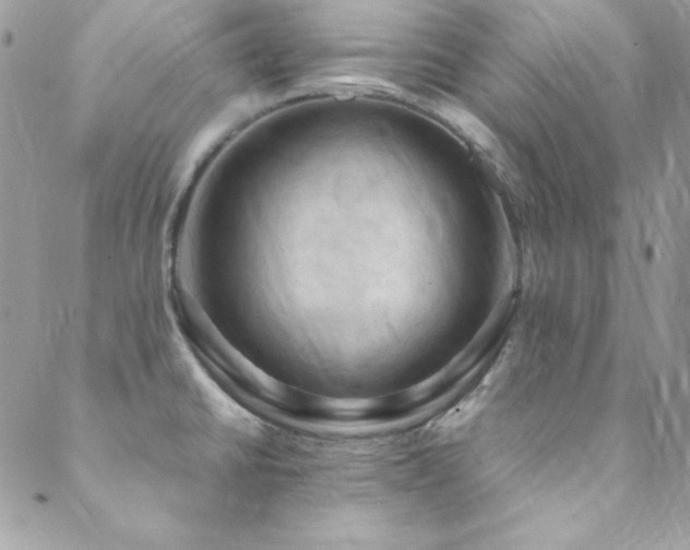 X0000089411430200706151240