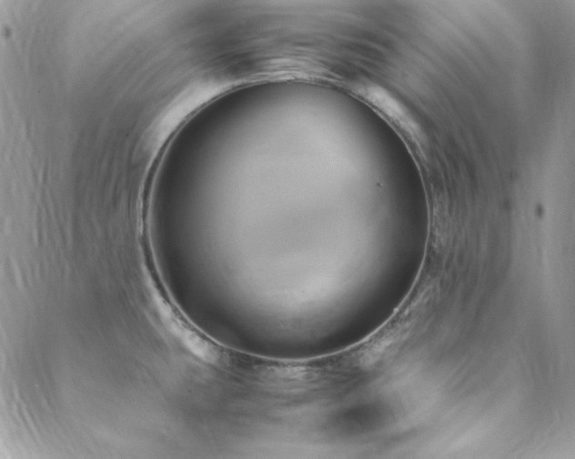X0000089411431200706151240