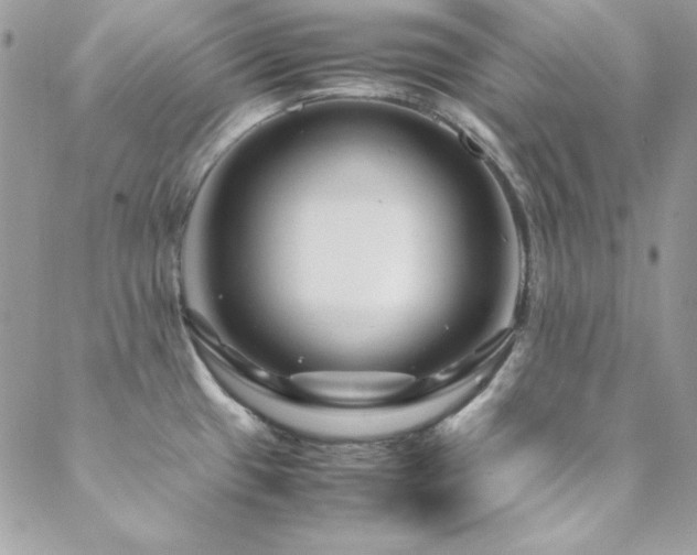 X0000089411433200706151240